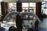 A swan flies into the Billings Bridge Mall