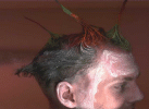 Ryan's hair from frosh week